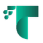 TechCognify